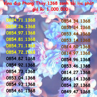 Sim Đẹp VINA GIÁ RẺ 1triệu Phong thủy 1368 Sanh Tài Lộc Phát Hưởng Nhiều ưu đãi Gói