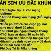 Sim mobi khung