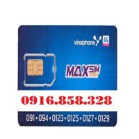 sim số đẹp giá rẻ vinaphone