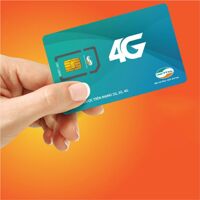 Sim số đẹp Viettel 098.170.0134