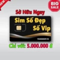 Sim số đẹp Viettet giá từ 5000k đến 5500k