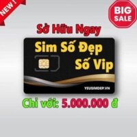 Sim số đẹp Viettet giá từ 5000k đến 5500k