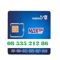 Sim số đẹp vinaphone giá rẻ