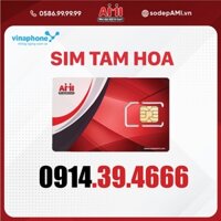 Sim Tam Hoa 666 Vinaphone Hợp Tuổi Hợp Mệnh Hợp Phong Thủy- Số đẹp AMI