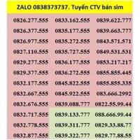 Sim tam hoa , sim taxi vinaphone