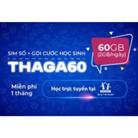 Sim Thả Ga 60, Thả Ga 70 Vinaphone