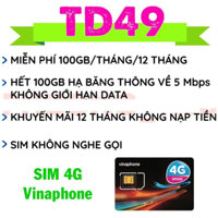 SIM TỐC ĐỘ CAO MAX DATA TẶNG 100GB SỬ DỤNG MỖI THÁNG TRỌN GÓI 1 NĂM KHÔNG CẦN NẠP TIỀN - SIM VINAPHONE TD49 GIÁ TỐT