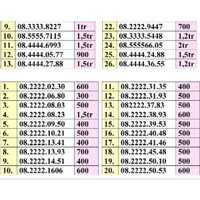 Sim Tứ Quý Đầu vinaphone