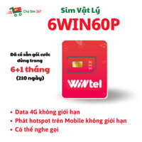 Sim Vật Lý Wintel 6WIN60P - Data 4G, phát hotspot không giới hạn - Đã có sẵn cước 7 tháng đầu
