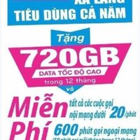 Sim VD89 Trọn năm Vinaphone