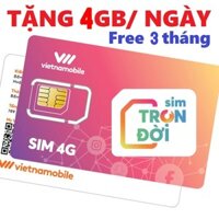 Sim Vietnamobile Sẵn 3 Tháng Có 4GB/Ngày Truy Cập Max Data Xem Phim Lướt Web Tẹt Ga