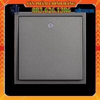 SIMON I7-Module Công tắc đơn 32A, hai cực, hai chiều, đèn LED xanh màu xám - Mã 703224-61 - Cao cấp - Sang trọng