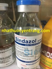 Sindazol 500mg/100ml