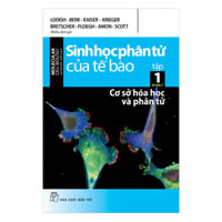 Sinh Học Phân Tử Của Tế Bào - Tập 1 Cơ Sở Hóa Học Và Phân Tử Ấn Bản 7