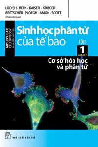 Sinh Học Phân Tử Của Tế Bào 01 - Cơ Sở Hóa Học Và Phân Tử (Ấn Bản 7)