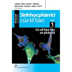 Sinh học phân tử của tế bào (T1): Cơ sở hóa học và phân tử - Nhiều tác giả