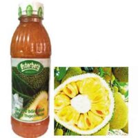 Sinh tố Osterberg Jack Fruit Jelly (Mít thạch dừa) 1 lít thùng 12 chai