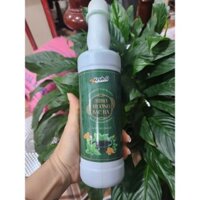 Siro Bạc Hà TOCO Chai 580ml - Làm Trà Sữa Bạc Hà Chuẩn Vị Toco