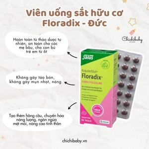 Siro bổ sung sắt Floradix Salus - 250ml