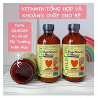 Siro Childlife Multi Vitamin Mineral 237ml Mỹ