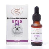 Siro chống chảy mắt Lacrimal Gland Fluid