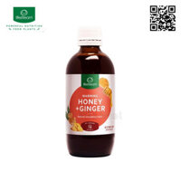 Siro gừng mật ong Lifestream Honey, Ginger Syrup 200ml