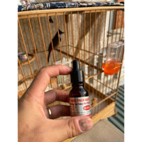 Siro Ho Nam Rô lọ 15ml thực phẩm dùng cho chim cảnh tăng lực bồi bổ cho chim đạt thể trạng tốt