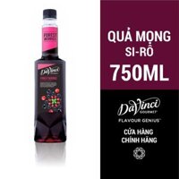 Siro Hương Quả Mọng / Forest Berries Syrup - DaVinci Gourmet (750ml)