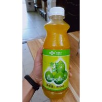 Siro Kim Quất/ Kumquat 840ml - Pha Trà Chanh Siêu Ngon