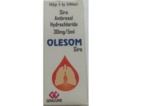 Siro Olesom Syrup 100ml