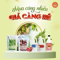 Siro trái cây các vị Dedu dâu, việt quất, lựu, đào, lá dứa thơm, đậm vị