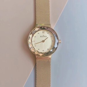 Đồng hồ nữ Skagen 456SGSG