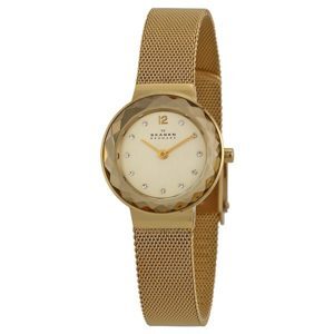 Đồng hồ nữ Skagen 456SGSG