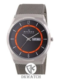 SKAGEN SKW6007