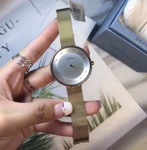 Đồng hồ nữ Skagen SKW2142/ SKW2141