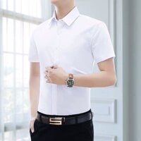 Slim-fit Business Inch Áo Sơ Mi Nam Đen Chổi Chuyên Nghiệp Mùa Xuân Hợp Thời Trang Áo Sơ Mi Trắng Bảo Hộ Lao Động Nửa Tay