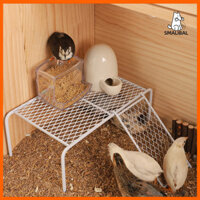 Smalibal 1 Bộ Rutin Gà Cảnh Quan Nền Tảng Lưới Thép Không Gỉ Giá Cho Thú Cưng Ăn Có Thang Leo Cho Thú Cưng Lồng