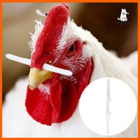 Smalibal  1000 Chiếc Bu Lông Mũi Gà Hiệu Quả Ngăn Ngừa Gà Trống Ăn Nhựa Gà Trống Mũi Cần Nhọn Cho Gia Cầm