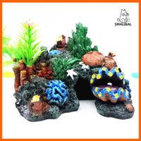 Smalibal  Rùa Bể Cá Trang Trí Cảnh Quan Nhựa San Hô Hàng Thủ Công Ẩn Hang