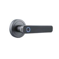 Smart Fingerprint Handle Door Lock Intelligent Anti-theft Door Lock Fingerprint Key Unlock Home Lock Electronic Entry Do