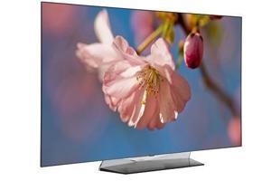 Smart Tivi OLED LG 55EG9A7T- 55 inch