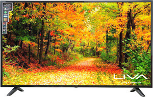 Smart Tivi Liva 43 inch E43DM