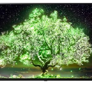 Smart Tivi OLED LG 48 inch 4K 48A1PTA