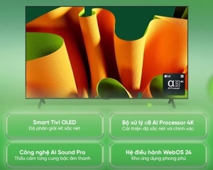 Smart Tivi OLED LG 4K 48 inch OLED48B4PSA