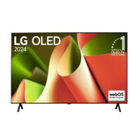 Smart Tivi OLED LG 4K 48 Inch 48B4PSA