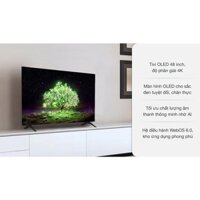 Smart Tivi OLED LG 4K 48 inch 48A1PTA 2021 - dienmaykhore