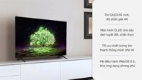 Smart Tivi OLED LG 4K 65 inch 65A1PTA 2021 – INDO