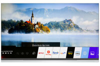 Smart Tivi OLED LG 4K 65 inch 65E9PTA