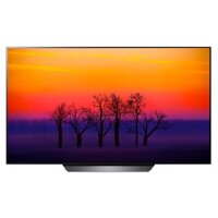 Smart Tivi OLED LG 55 inch 4K UHD 55B8PTA – Hàng chính hãng