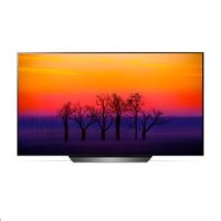 Smart Tivi OLED LG 55 Inch 55B8PTA